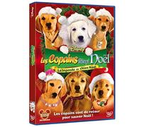 Les copains fêtent noël
