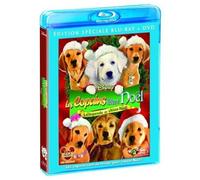 Les copains fêtent noël ; les copains des neiges