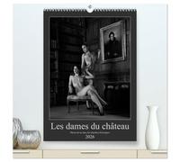 Les dames du château (Calendrier mural 2026 DIN A2 horizontal) calendrier de bureau: Photos érotiques dans des chambres historiques