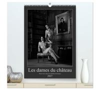 Les dames du château (Calendrier mural haut de gamme 2027 DIN A2 horizontal), CALVENDO calendrier mensuel: Photos érotiques dans des chambres historiques
