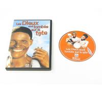 Les dieux sont tombes sur la tete