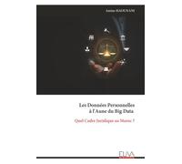 Les Données Personnelles à l'Aune du Big Data: Quel Cadre Juridique au Maroc ?
