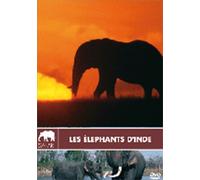 Les éléphants d'inde