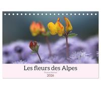 Les fleurs des Alpes (Calendrier de bureau 2026 DIN A5 vertical), CALVENDO calendrier mensuel: Voici le monde coloré et spectaculaire des fleurs alpines