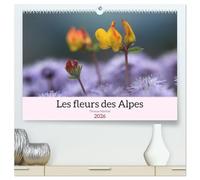 Les fleurs des Alpes (Calendrier mural 2026 DIN A2 vertical) calendrier de bureau: Voici le monde coloré et spectaculaire des fleurs alpines