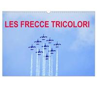 Les Frecce Tricolori (Calendrier mural 2026 DIN A3 vertical), CALVENDO calendrier mensuel: Grand show aérien de Sion 2017