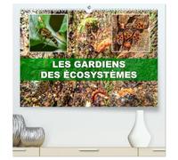Les gardiens des écosystèmes (Calendrier mural haut de gamme 2027 DIN A2 vertical), CALVENDO calendrier mensuel: Rôle crucial des insectes régulateurs dans le maintien de l'équilibre écologique.