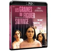 Les Graines du figuier Sauvage