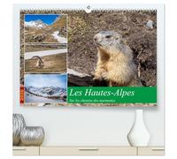Les Hautes-Alpes sur les chemins des marmottes (Calendrier mural 2026 DIN A2 vertical) calendrier de bureau: A la découverte des chemins des Heutes-Alpes