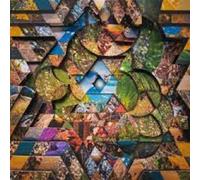 Miguel Atwood-Ferguson Les Jardins Mystiques - Volume 1 (CD) Box Set