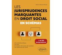 Les jurisprudences marquantes en droit social: en schémas