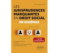Les jurisprudences marquantes en droit social: en schémas