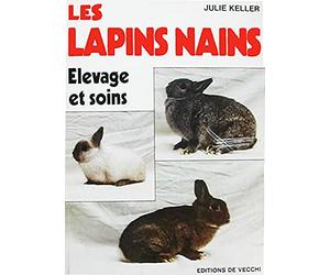 les lapins nains elevage et soins