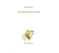 Les lumières de la forêt