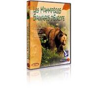 Les mammifères sauvages d'Europe