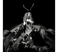 Les Marquises - A Night Full Of Collapses