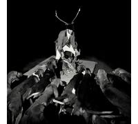 Les Marquises Night Full Of Collapses (Vinyl LP)