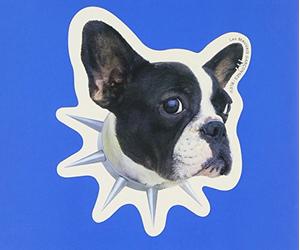 Les Mauvais Garconnes - Idol Wo Sagase-la Plus Belle