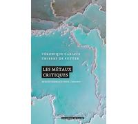 Les métaux critiques: Quel(s) chemin(s) pour l'Europe ?