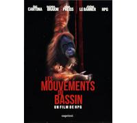 Les mouvements du bassin