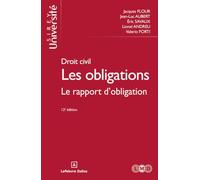 Les obligations: Le rapport d'obligation