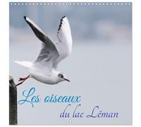 Les oiseaux du lac Léman (Calendrier mural carré 2027 30x30 cm) Calendrier doubl