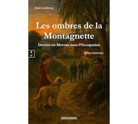 Les ombres de la montagnette : destins en morvan sous l'occupation