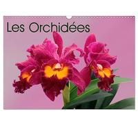 Les Orchidées (Calendrier mural 2026 DIN A3 vertical), CALVENDO calendrier mensuel: Les orchidées exotiques