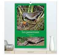 Les passereaux à l'orée de la vie (Calendrier mural 2026 DIN A2 horizontal) calendrier de bureau: Images de la naissance des passereaux