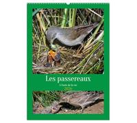 Les passereaux à l'orée de la vie (Calendrier mural 2026 DIN A2 horizontal), CALVENDO calendrier mensuel: Images de la naissance des passereaux