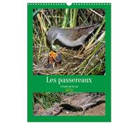 Les passereaux à l'orée de la vie (Calendrier mural 2026 DIN A3 horizontal), CALVENDO calendrier mensuel: Images de la naissance des passereaux