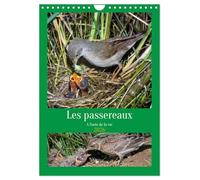 Les passereaux à l'orée de la vie (Calendrier mural 2026 DIN A4 horizontal), CALVENDO calendrier mensuel: Images de la naissance des passereaux
