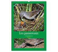 Les passereaux à l'orée de la vie (Calendrier mural 2027 DIN A2 horizontal), CALVENDO calendrier mensuel: Images de la naissance des passereaux