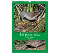Les passereaux à l'orée de la vie (Calendrier mural 2027 DIN A3 horizontal), CALVENDO calendrier mensuel: Images de la naissance des passereaux