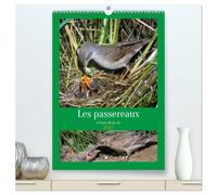 Les passereaux à l'orée de la vie (Calendrier mural haut de gamme 2027 DIN A2 horizontal), CALVENDO calendrier mensuel: Images de la naissance des passereaux