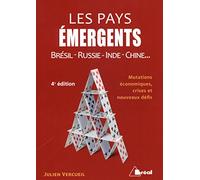 Les pays émergents: Brésil-Russie-Inde-Chine... : mutations économiques, crises et nouveaux défis
