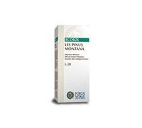 LES PINUS MONTANA 50ML MG