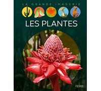 Les plantes