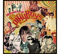 LES PLAYBOYS - ANTHOLOGIE