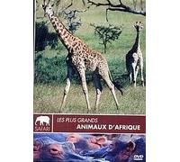 Les plus grands animaux d'afrique