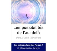 LES POSSIBILITES DE L'AU-DELA: Que font nos défunts dans l'au-delà ?