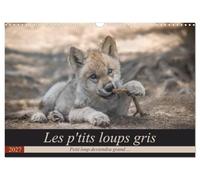 Les p'tits loups gris (Calendrier mural 2027 DIN A3 vertical), CALVENDO calendrier mensuel: Petit loup deviendra grand ...