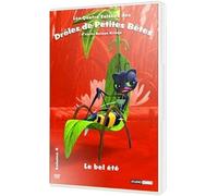 Les quatre saisons des drôles de petites bêtes, vol. 4 : le bel été