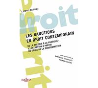 Les sanctions en droit contemporain: Volume 3, De la théorie à la pratique : illustration à partir du droit de la consommation
