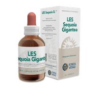 Les Sequoia Gigantea Gocce50 ml