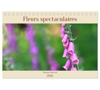 Les spectaculaires fleurs du jardin et d'ailleurs (Calendrier de bureau 2026 DIN A5 vertical), CALVENDO calendrier mensuel: Voici le monde coloré et spectaculaire des fleurs.