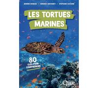 Les tortues marines: 80 clés pour comprendre