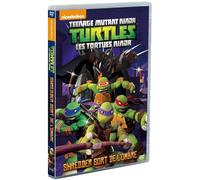 Les tortues ninja,vol. 2 : enter shredder (DVD)