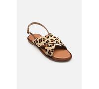 Les Tropéziennes par M Belarbi - DOAPO Beige - Sandali e scarpe aperte 36 Beige
