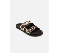 Sabot Doxy Marrone 41